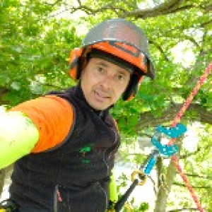 Jc Home S. (Élagage de l'Anjou)