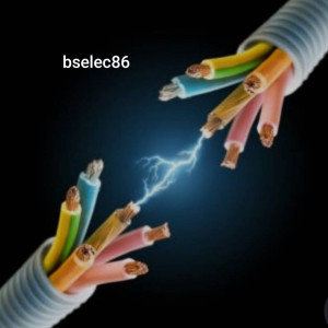 Sylvestre Roger B. (Bselec86)