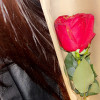 avatar Sofia L.<