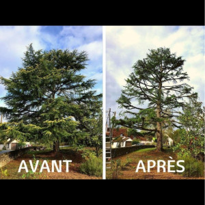 Antoine R. (Riffet)