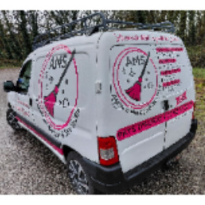 Angélique D. (AMS Agence Ménage et Ser...