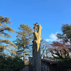 Antoine J. (Multiservices)