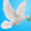 avatar Francis M.<