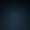 Morgan H.