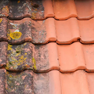 Bryan H. (ramonage hde)