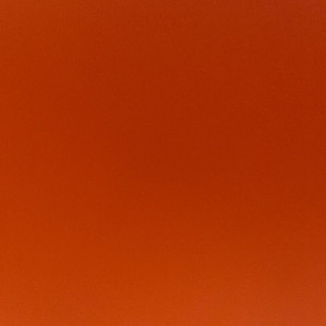 Constantin Florin D.