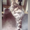 avatar Agathe T.<
