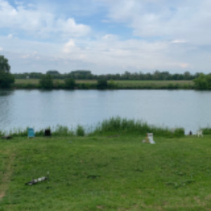 Anthony G. (AG.debarras)