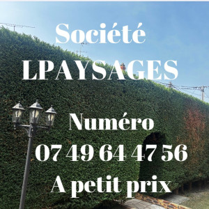 Lecourt L. (professionnel)