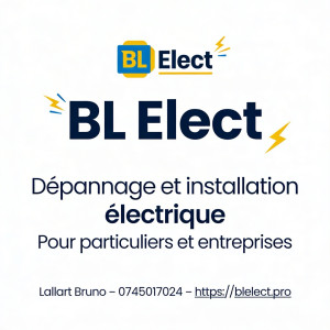 Bruno L. (BL Elect)