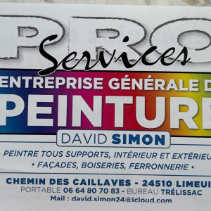 Simon D. (pro service)