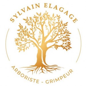 SYLVAIN ELAGAGE