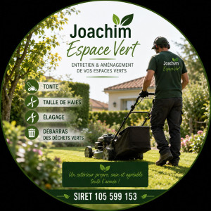 Joachim P. (Joachim vert et metaux)