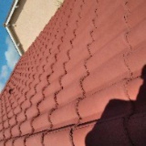 David O. (Prenons soin de l'environnem...