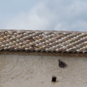 Antoine L. (PEINTURE RENOV11)