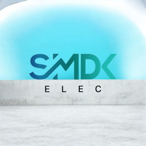 Salif S. (SMDK ELEC)