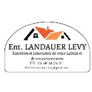 Levy L. (ENT LANDAUER)