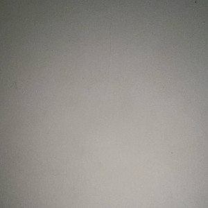 Vyigflnu V. (absfrance77)