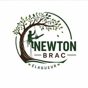 Newton B. (Auto entrepreneur)