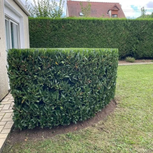 Alexis D. (Alexis Ducoin)