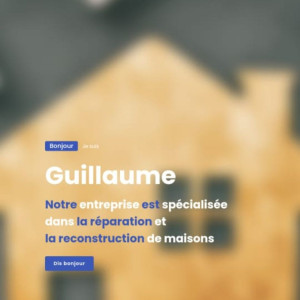 Guillaume P. (GPR MULTISERVICES)