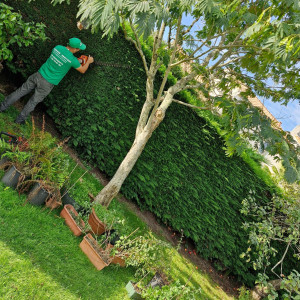 Dylan W. (WDpaysagiste)