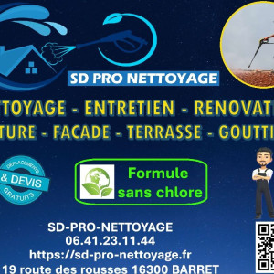 Sonny D. (Sdpronettoyage)