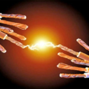 Rui D. (RUI DA SILVA AFONSO)