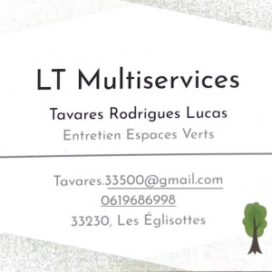 Lucas T. (LT Multi-services)