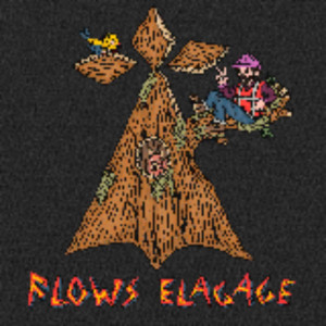 Florent S. (Flows Elagage)