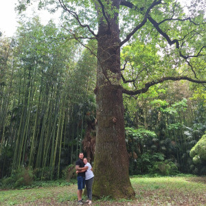 Ruel G. (Nature & Jardin)