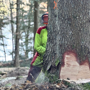 Entreprise Individuelle William Frossa...