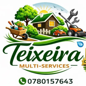 Pedro T. (Teixeira Multi-services)