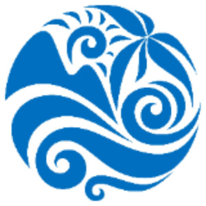 Thibaut Z. (KEM'SERVICES)