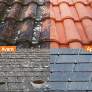 Thimote L. (LT multiservices)