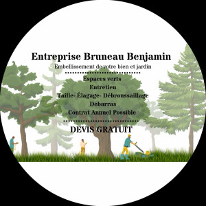 Benjamin B. (ENT BRUNEAU Benjamin)