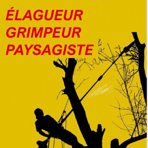 Florian R. (Florian Rome)