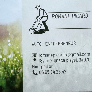 Romane P. (Picard Romane)