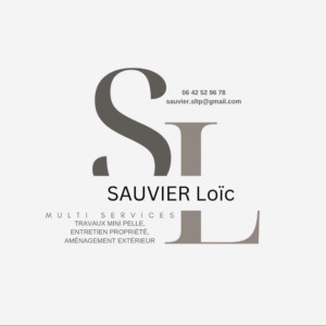 Loic S. (LS multiservice)