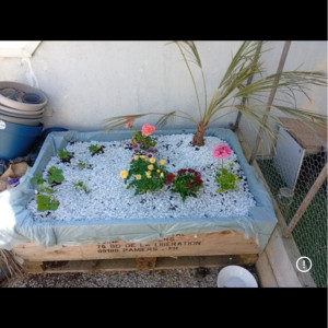 Corianne Germaine Geneviève H. (Les Ja...