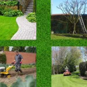 David W. (David weiss)