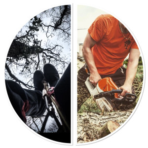 Alexandre A. (ALEX ELAGAGE)