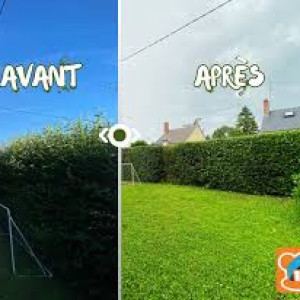 Jessy K. (paysagiste)