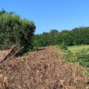 Enzo C. (Artisan cortes)