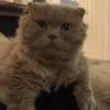 avatar Frederique T.<