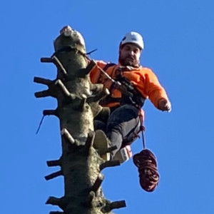 Désiré M. (Mayer EMP PAYSAGISTE)