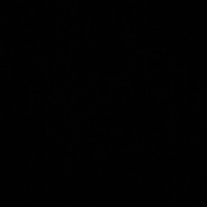 Lina G. (mg Gilbert)