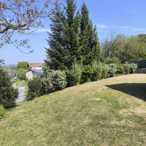 Walter L. (Lemoine Walter)