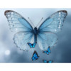 avatar Valérie S.<