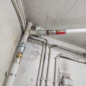 Fred S. (Homes&style)